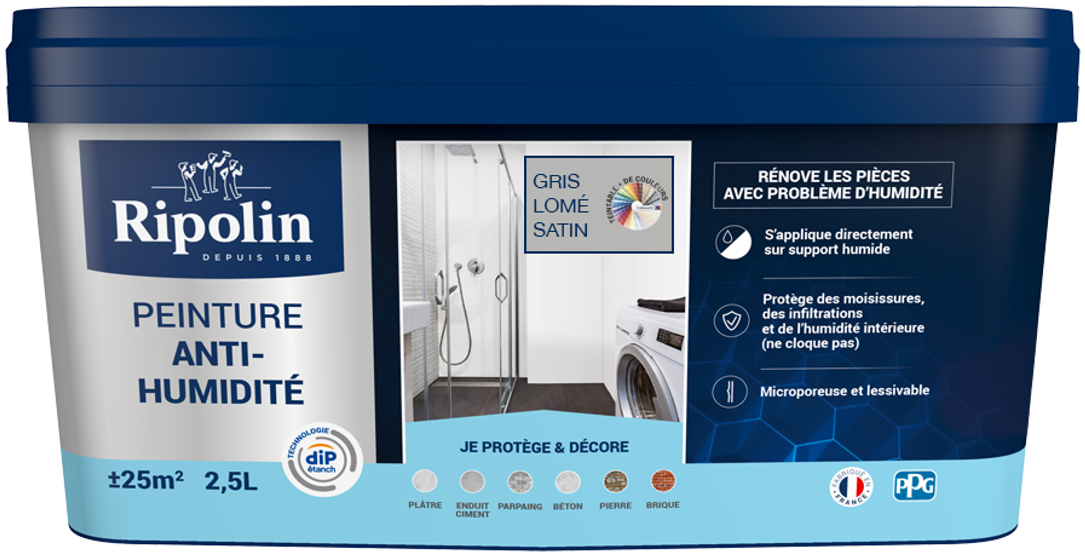 Peinture microporeuse anti-humidité Ripolin